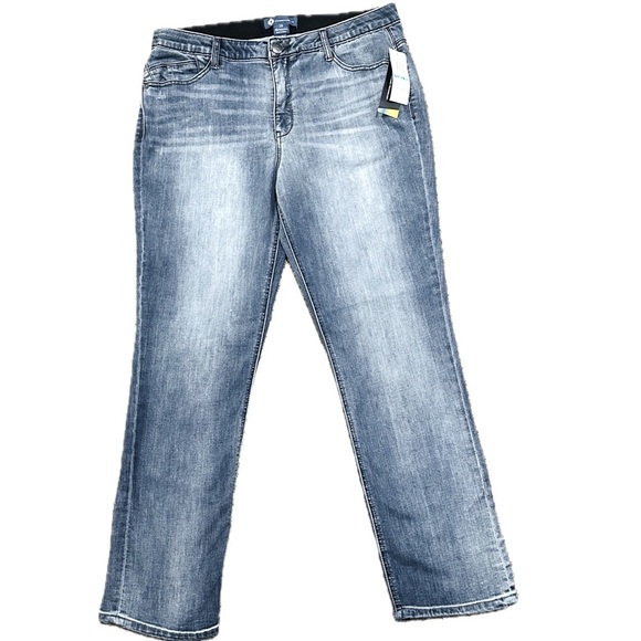 👖🔷 DEMOCRACY NWT Ab-Solution Straight Leg Jeans | Plus 16 | Gray-Blue Distressed - Picture 1 of 4